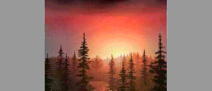 Flipbook of computer generated images